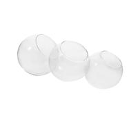 TOYANDONA 3pcs Glass Air Plant Terrarium Bottles Micro Landscape Glass Vases with Oblique Mouths for DIY Succulent and Moss Gardens Home Decorative Plant Holders