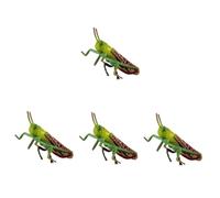 TOYANDONA 4 pcs Realistic Locust Model Plastic Insect for Educational Play and Decoration Safe and Durable Cognitive Model for School Projects and Halloween Themes