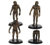 TOYANDONA 4pcs Ape Man Evolution Model Set Plastic Human History Figures Educational Teaching Props for Science Learning and Home Décor