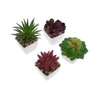 TOYANDONA 4pcs Artificial Succulent Plants Mini Faux Potted Decor for Indoor Outdoor Use Realistic Miniature Bonsai for Home Office Kitchen Bedroom Shelf Decoration