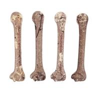 TOYANDONA 4pcs Breakresistant Plastic Fake Bones with Realistic Design for Halloween and Theatrical Presentations, Creative Skeleton Bone Props for DIY Projects and Haunted House Decor