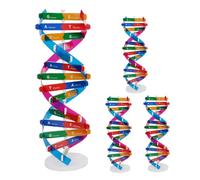 TOYANDONA 4pcs Dna Structure Learning Double Helix Model Human Genes Educational Kit DIY Assembly Biological Teaching Aid for Classroom and Home Science