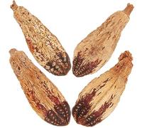 TOYANDONA 4pcs Natural Bird Chewing Toy Parrot Foraging Shredding Toy Healthy Walnut Shell Chew Fruits Pack for Small Birds and Parrots Home Decor