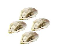 TOYANDONA 4pcs Realistic Simulation Oyster Props for Restaurant Display Lightweight and Seafood Model for Pretend Play Food Lifelike Seafood Decor for Family Gatherings and Outdoor Events