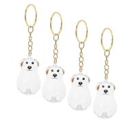 TOYANDONA 4pcs Transparent Pet Hair Collector Keychain Charm Memorial Keepsake Storage for Dog Hair Portable Keyring Holder for Bags Purses Heartfelt Tribute and Sentimental Pet Lover Gift