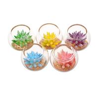 TOYANDONA 5 Pcs Miniature Dollhouse Plant Flowers Mini Succulent Planter Artificial Tiny Greenery Ornament Miniature Potted Faux Flower Model Dollhouse Decoration（5 Color）