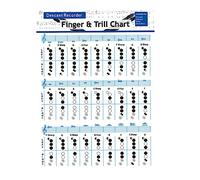TOYANDONA 5pcs Clarinet Chord Chart Poster Vertical Flute Chart for Students Guitar Chord Poster