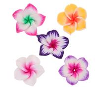 TOYANDONA 5pcs Plumeria Charms Bulk for Jewelry Making, Lightweight Polymer Clay Flower Charms with Holes, 25mm Reusable Floral Beads for DIY Craft Projects and Flower Earrings