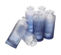 TOYANDONA 6pcs Vintage Glass Diffuser Bottles with Embossed Pattern Transparent Decorative Vases for Aromatherapy and Essential Oils Refillable Empty Fragrance Bottles for Home