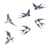 TOYANDONA Anti-Collision Static Window Cling Sticker Removable Non-Adhesive PVC Film for Bird and Human Strike Prevention Glass Easy to Apply and Reposition for Home and Office Windows