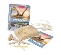 TOYANDONA Archaeology Digging Simulation Dinosaur Pterosaur Excavation Kit Educational Stem Dig Plaything for Boys and Intellectual Development
