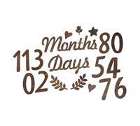 TOYANDONA Baby Milestone Sign Set Wooden Newborn Month Milestone Card Photo Prop Natural Wood Baby Shower Dec