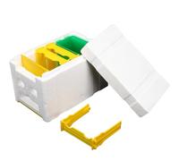 TOYANDONA Bee Rearing Box with 3-frame Plastic Hive Pollination Container Beekeeping Tool for Honeybee Mating and Feeding, Professional Plastic Beekeeping Hive Suitable for Beekeepers