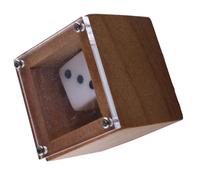 TOYANDONA Beginner Dice Games Box for Party Gathering Small Box Dice for Magic Lovers