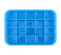TOYANDONA Blue Plastic Medicine Dispensing Tray with Divided Compartments and Raised Edges for Ward Supply and Hospital Use, Easy Cleaning and Space Saving Organizer Tray with Visual