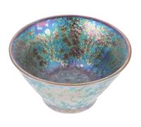 TOYANDONA Ceramic Chinese Tea Bowl Gongfu Teacup Rainbow Peacock Pattern Porcelain Tea Cup Traditional Kungfu Teaware for Home and Ceremony