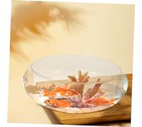 TOYANDONA Clear Glass Fish Bowl Hydroponic Plant Pot Small Fish Tank Desktop Vase for Goldfish and Water Plants Transparent Multifunctional Aquarium for Flower Cultivation and Miniature
