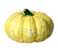 TOYANDONA Compact Pumpkin Shaped Aquarium Cave Decorative Fish Tank Ornament Hideout for Fish and Shrimp Safe Habitat Tabletop Cave Accessory