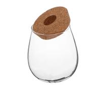 TOYANDONA Creative Transparent Glass Hydroponic Planter Globe Vase for Indoor Plants Desktop Propagation Station with Clear View Low Watering Maintenance Elegant Home Decor