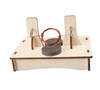 TOYANDONA DIY Dc Motor Kit for Educational Science Project Self-assembly Electric Motor with Complete Materials Stem Engineering and Electric Circuit Supplies for S Technology Learning