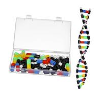 TOYANDONA Dna Model Kit Double Helix Molecular Structure Educational for High School Biology Classroom Teaching Aid Plastic Safe Construction for Science Learning and Home Study