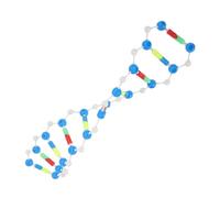 TOYANDONA Double Helix Dna Model Kit Biology Teaching Aid Scientific Educational Instrument for Students Interactive Self Assembly Science Model for Classroom and Home Use