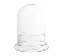 TOYANDONA Eco Bottle Moss Glass Bottle for Diy Micro Landscape Succulent Display for Fairy Garden Decor