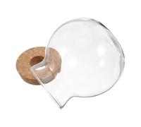 TOYANDONA Eco Bottle Plant Glass Terrarium Jar Round Landscape Cork Lids for Fern Moss Hydroponic Water Planting Station Propagation Vase