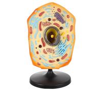 TOYANDONA Educational Animal Cell Anatomical Model Material for Biology Teaching Realistic Magnified Structure Display Middle School and College Training Aid