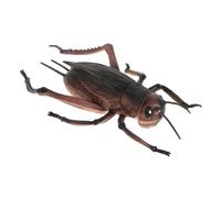 TOYANDONA Elegant Crickets Model Faux Decorative Tabletop Ornament for Unique Home Decor Retro Design for and Creative Displays and Practical Adornment