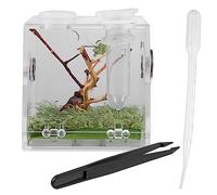TOYANDONA Florida Jumping Spider Insect Breeding Box Reptile Breeding Case Acrylic Box Aquarium