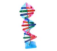 TOYANDONA Gene Aids Dna Model Kit Dna Double Helix Model Scientific Genes Learning Tool Biology Plaything Plastic