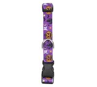 TOYANDONA Halloween Theme Pet Dog Accessories Ornament Collar Lightweight Solid Texture Polyester Collar for Halloween Pets and Dogs