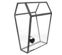 TOYANDONA Handmade Gothic Glass Keepsake Box Coffin-shaped Display Case with Transparent Lid for Halloween Treats and Jewelry Clear Decorative Trinket Organizer for Memories and Photos