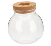 TOYANDONA Hydroponic Glass Vase for Desktop Plants Smooth Surface Decorative Container for Water Planting Home Office Centerpiece Garden Lovers