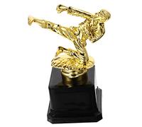 TOYANDONA Martial Arts Trophy Cup Award Trophy for Competitions Ceremony Decor and Recognition Creative Design for Celebrating Achievements Taekwondo and More