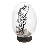 TOYANDONA Mini Desktop LED Fish Tank Small Decorative Aquarium for Goldfish Battery Powered No Water Change Needed Safe Convenient Design for Home Office