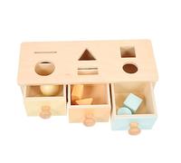 TOYANDONA Montessori Wooden Object Permanence Box for Color Cognition Educational Cognitive Fine Motor Skills Development Puzzle for Boys