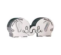 TOYANDONA Newborn Elephant Keepsake Box My First Tooth Fairy Box Metal Curl and Tooth Collection