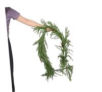 TOYANDONA Norfolk Pine Christmas Garland Real Touch Faux Winter Greenery for Mantle Fireplace Wall Staircase Decoration Indoor Outdoor Wedding Holiday Decor