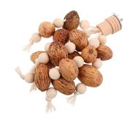 TOYANDONA Parrot Gnawing Hanging Chew Stick with Nut Fastener Small Medium Bird Beak Chewing for Cockatiels Conures Budgies and Parakeets Enrichment Pet Supplies