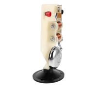 TOYANDONA Physics Electric Bell Teaching Model with Plastic and Metal Construction, Featuring Precise Wiring Marks and Spring Return Mechanism, for Science Class Electricity Experiments