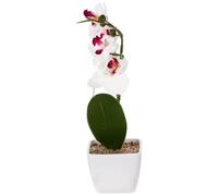 TOYANDONA Realistic Artificial Phalaenopsis Orchid in Pot Potted Faux Orchid Flowers for Table Decor No Watering Needed Home and Party Decoration