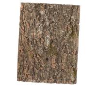 TOYANDONA Reptile Bark Background Board Natural Cork Terrarium Decor for Vivarium Lizard Tortoise Enclosure Aquarium Background