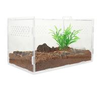 TOYANDONA Reptile Terrarium Acrylic Enclosure 25x15x15cm Small Lizard Cage with 4pcs Accessory Set for Frog Spider Snake Habitat