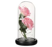 TOYANDONA Romantic Eternal Rose Lamp with LED Light, Pink Double Rose Heads Under Glass Dome, Black Base Table Decoration for Valentine’S Day Home Lighting