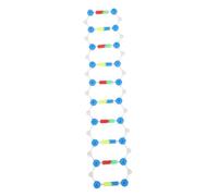 TOYANDONA Self-assembling Dna Double Helix Molecular Model Kit for Students Educational Science Teaching Aid Biology Genetics Learning Tool with Detailed Structure for Classroom Use
