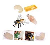 TOYANDONA Simulation Bee Growth Cycle Model for Realistic Plastic Bee Display Educational Cognitive Learning Ornaments for Understanding Sciences