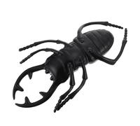 TOYANDONA Simulation Beetle Model for Boys and Girls Plastic Beetle Toy Sound Educational Insect Toy for Boy Girl's Playtime and Cognitive Development