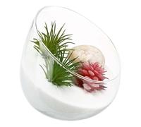 TOYANDONA Small Glass Terrarium Jar Slant Cut Bowl Round Desktop Planter Container High Borosilicate Glass for Succulent Moss Micro Landscape Home